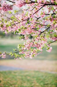 猛浪若奔的奔是什么意思(文言文词类活用知识归纳)