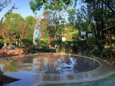 ​西班牙老树藤系列葡萄酒(茅台老树藤葡萄酒价格表)