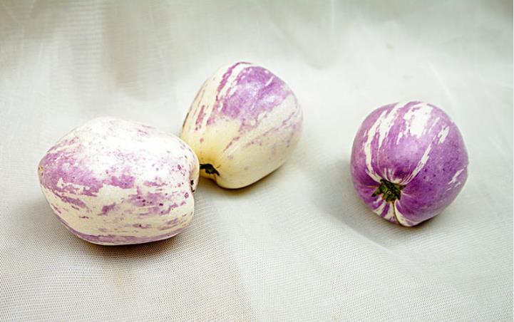 湿气重可以吃人参果吗 人参果是软的好吃还是硬的好吃