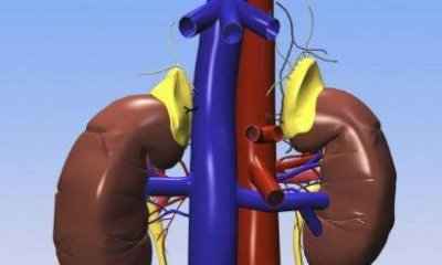 ​肾脏不好身体易出现5种异常