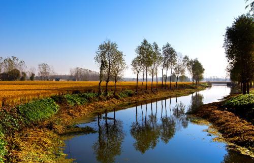 养儿方知父母恩下一句（讲解1句农村俗语的含义）