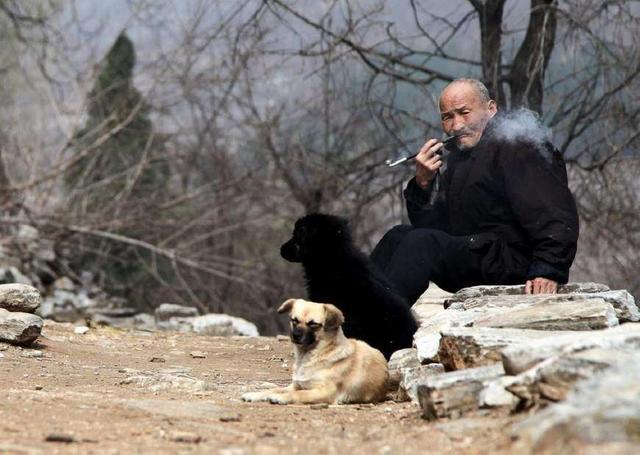 养儿方知父母恩下一句（讲解1句农村俗语的含义）