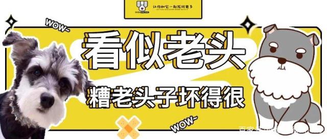 糟老头是什么意思，自称糟老头什么意思 