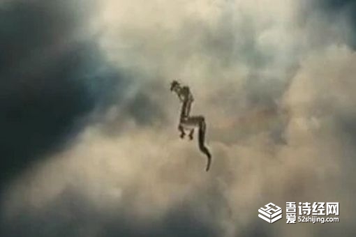 松花江坠龙的真相 江内到底是什么物种