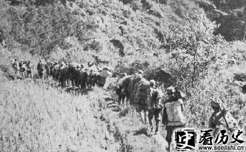 高山铺战役图片