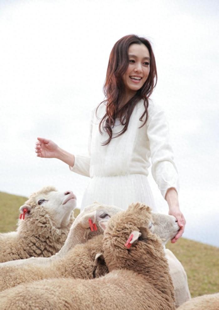 华语女歌手范玮琪