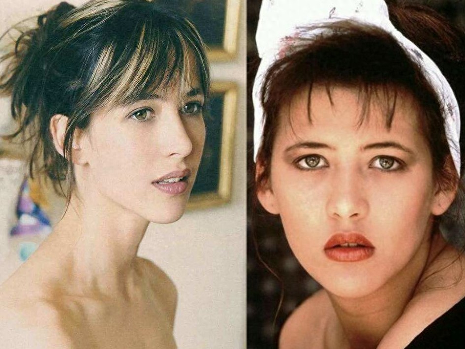 法兰西玫瑰，“苏菲玛索”惊艳了一个时代的容颜，无数人的女神