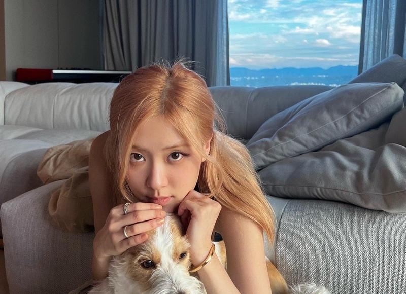 煮饭的时候丢两块肉进去，居然可以变成一道美味的菜