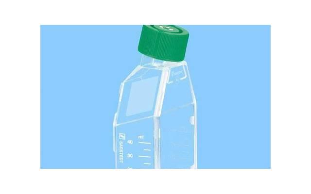 清明回家上坟，大嫂用剩菜招待我们，起初不懂，明白后立马离开