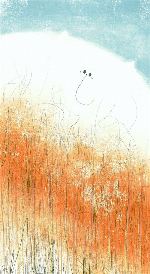 壁纸｜可爱的一条小团团