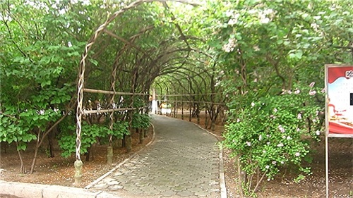 哈尔滨隐藏最深的一座公园，外地人恐怕都找不到——清滨公园