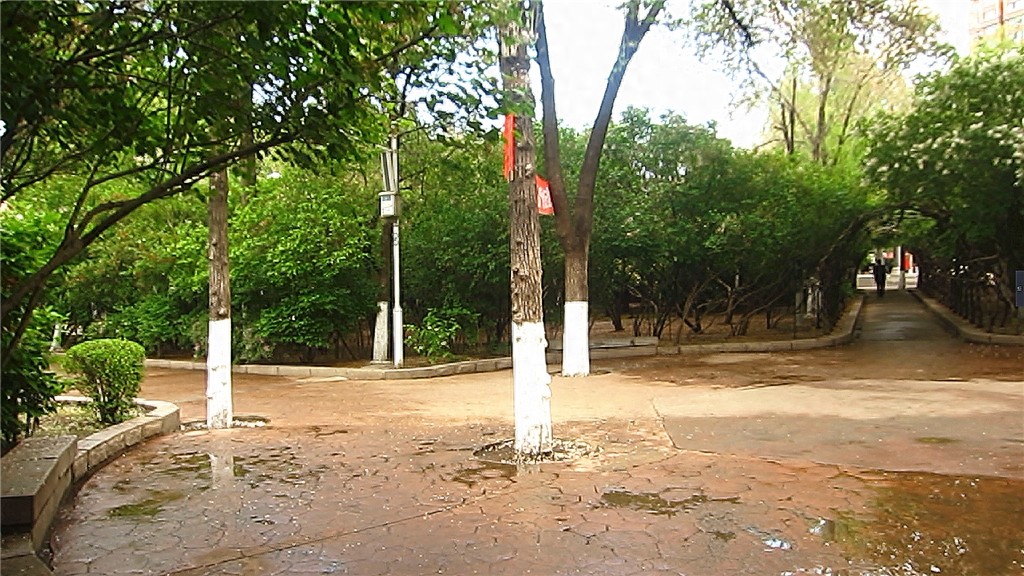 哈尔滨隐藏最深的一座公园，外地人恐怕都找不到——清滨公园