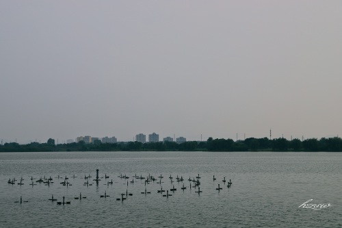 玩遍芜湖水系篇：莲花湖