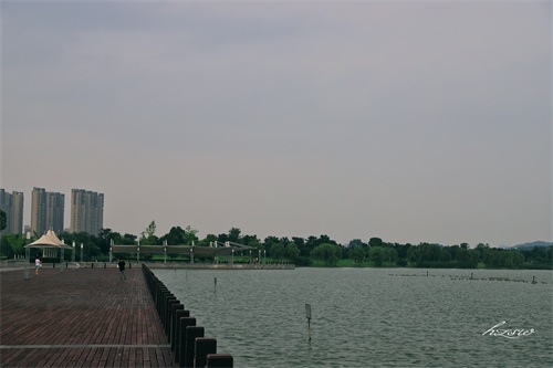 玩遍芜湖水系篇：莲花湖