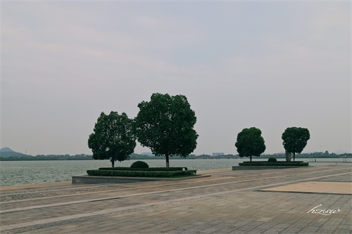 玩遍芜湖水系篇：莲花湖