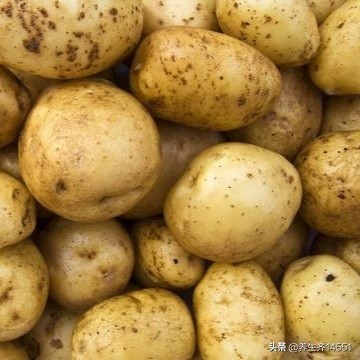 这六种“芋”，有全都认识的吗？