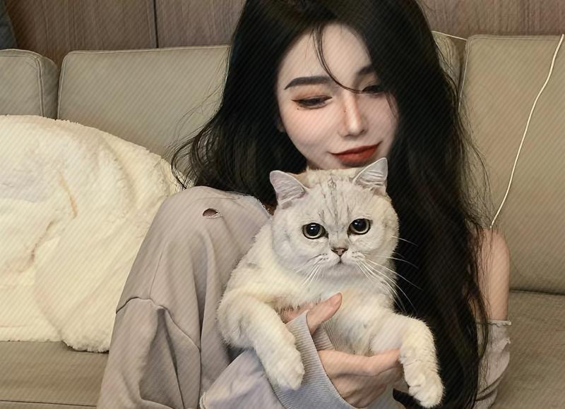 对方家暴是否能够向法院请求赔偿