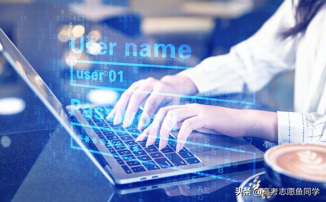 就业前景好的十大专业排名（大学最热门的5个专业盘点）(2)