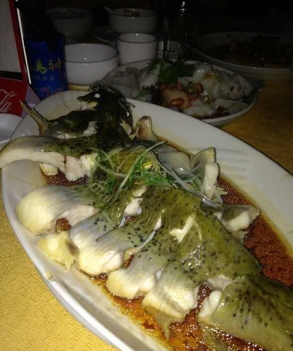 这种鱼比甲鱼营养，如今卖到上百元一斤，却被当成鲶鱼遭到嫌弃