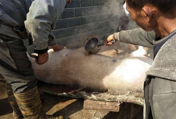 梳洗之刑是什么,梳洗之刑是一种怎样恐怖的刑罚图7