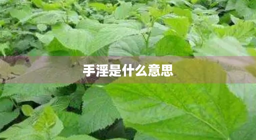 手淫是什么意思一周