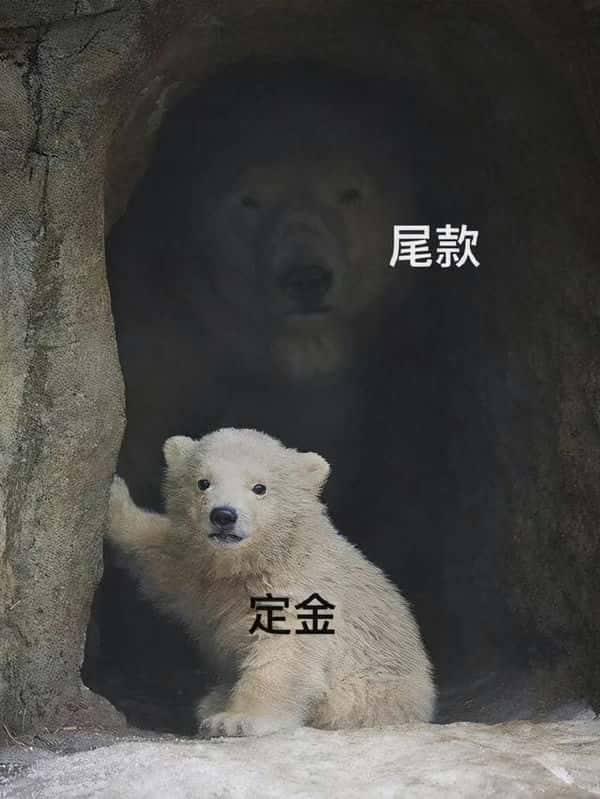 淘宝购物金预售不能用吗（淘宝预售定金可以退吗）