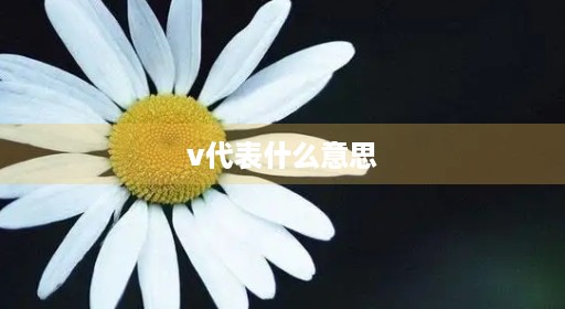 v代表什么意思