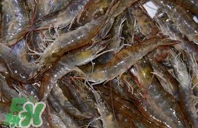 活基围虾怎么保存？活基围虾怎么处理干净？