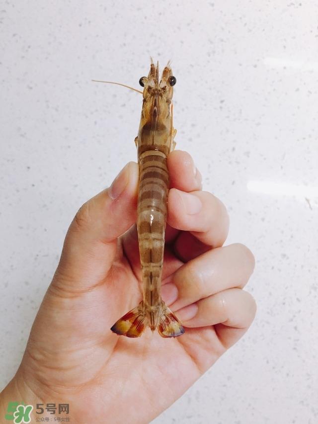 活基围虾怎么保存？活基围虾怎么处理干净？