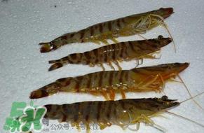 活基围虾怎么保存？活基围虾怎么处理干净？