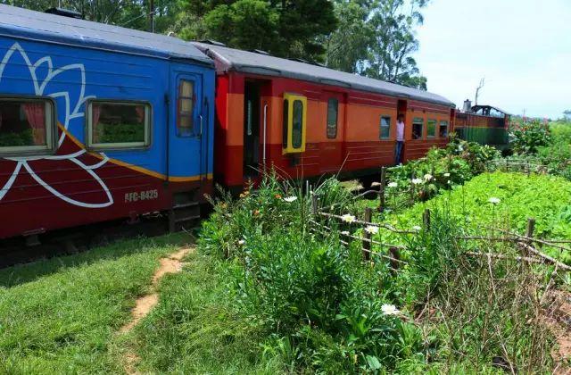 一带一路都有哪些国家（被一带一路带火的20个国家）(18)