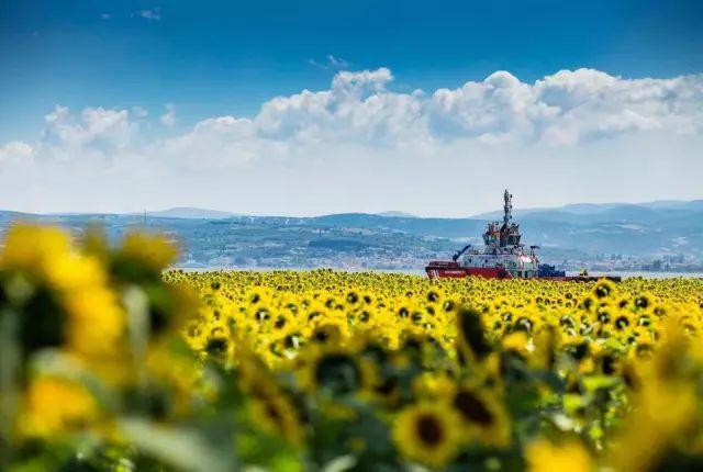 一带一路都有哪些国家（被一带一路带火的20个国家）(29)