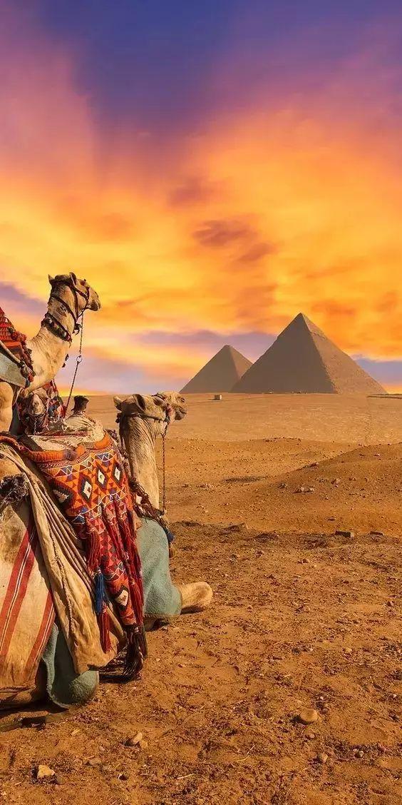 一带一路都有哪些国家（被一带一路带火的20个国家）(30)