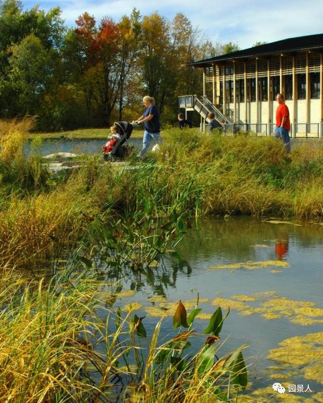 水生植物简介（水生植物普及知识干货来袭）(35)