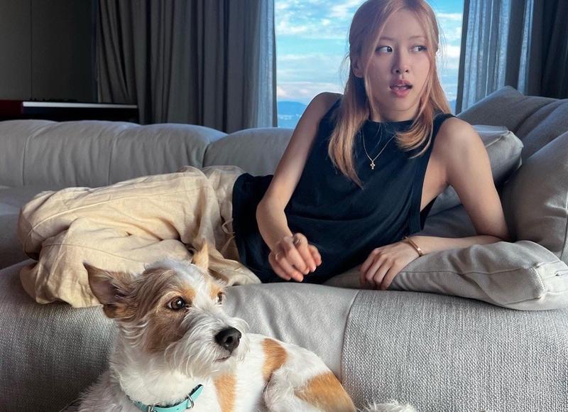  爱上了有夫之妇，可是感觉她对我越来越冷淡了