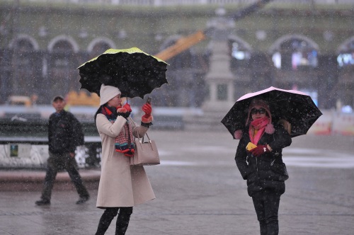 哈尔滨下雪了，景色太美了