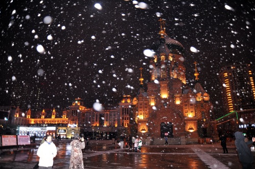 哈尔滨下雪了，景色太美了