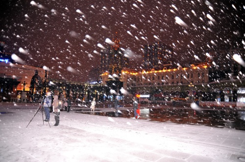 哈尔滨下雪了，景色太美了