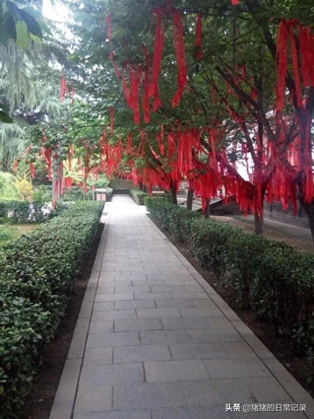 陕西西安青龙寺遗址公园(不要门票，呵呵)