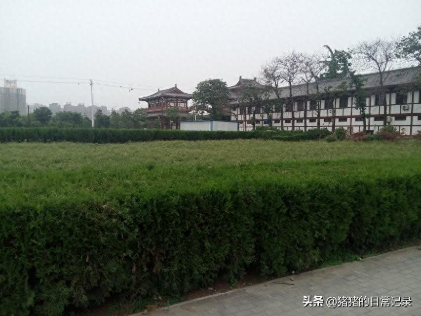 陕西西安青龙寺遗址公园(不要门票，呵呵)