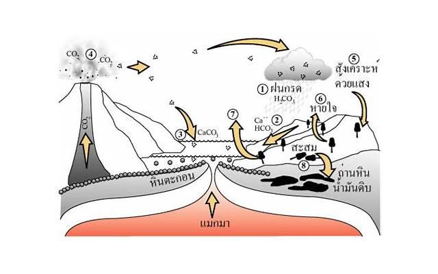 理性和感性的区别在哪 理性和感性的区别在哪