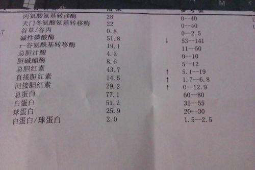 生化是什么意思到底怀没怀孕？怀孕生化是什么意思-第1张图片-