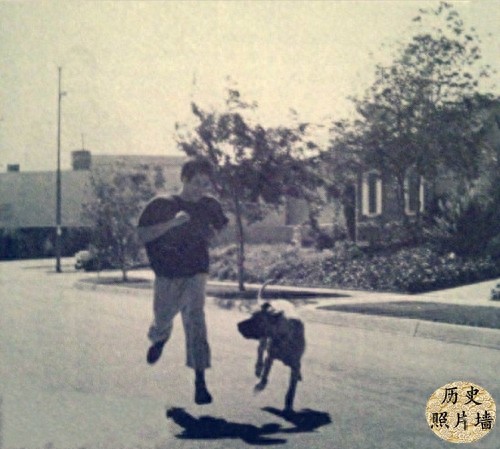 一组李小龙训练旧照，告诉你他为什么这么厉害！图九正在电击训练