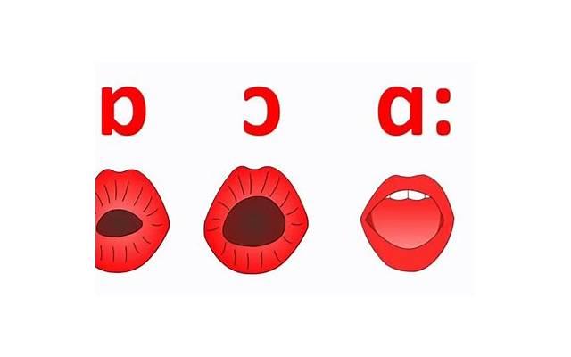 11朵玫瑰代表啥意思 11朵玫瑰多少钱