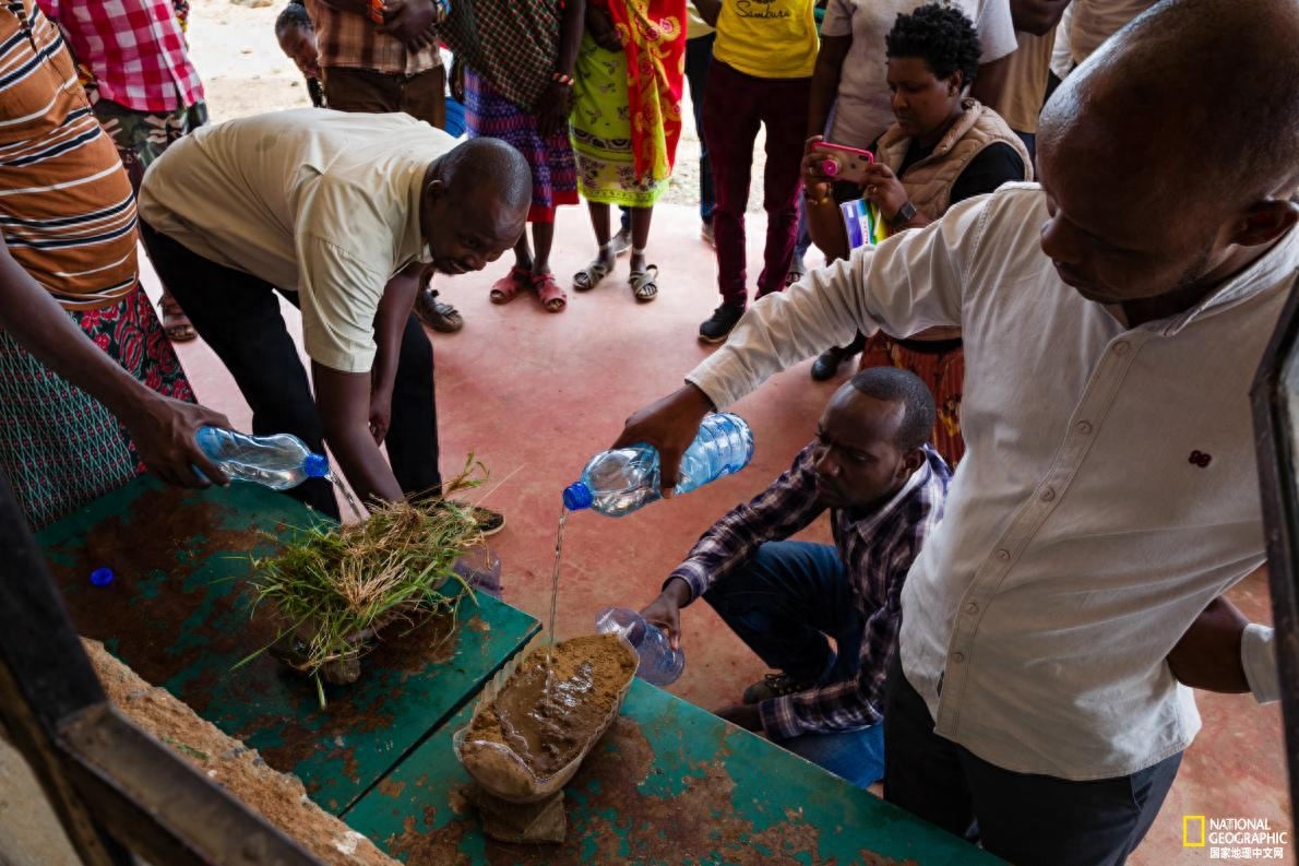 稀有细纹斑马的命运掌握在人类手中