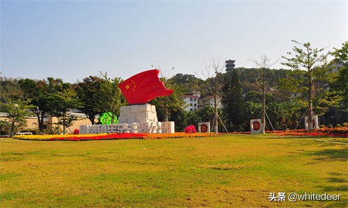 随拍东莞临深小镇 - 凤岗