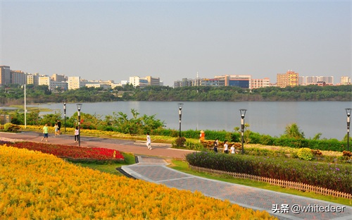 随拍公园 - 环湖游走 深圳立新湖公园