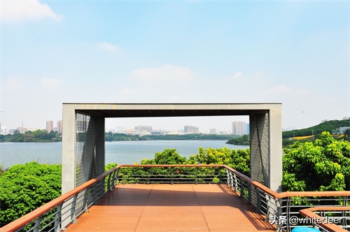 随拍公园 - 环湖游走 深圳立新湖公园