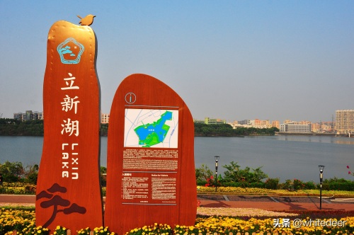 随拍公园 - 环湖游走 深圳立新湖公园