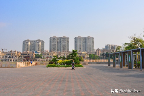 随拍公园 - 环湖游走 深圳立新湖公园